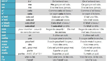 exemple de homophone