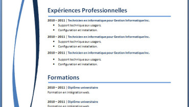 exemple de curriculum vitae