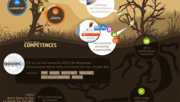 exemple de cv illustre