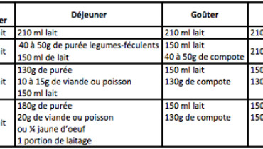 exemple de menu bebe 6 mois