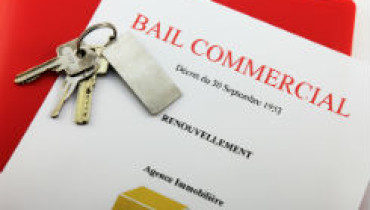 exemple de contrat de bail ohada