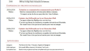 exemple de cv pour demande d emploi