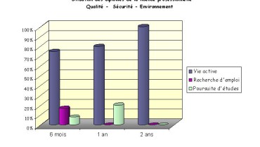 exemple de memoire qse