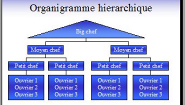 exemple de organigramme hierarchique