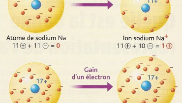 exemple de solution ionique