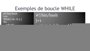exemple de boucle while shell
