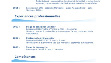 exemple de c.v dut informatique
