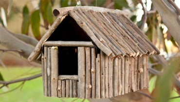 exemple de cabane a oiseaux