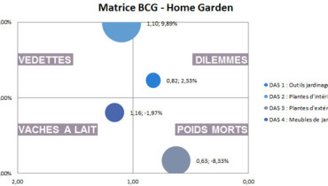 exemple de bcg