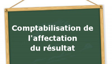 exemple de pv d affectation du resultat