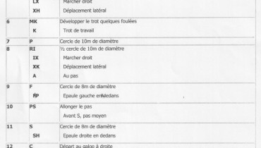 exemple de reprise galop 7