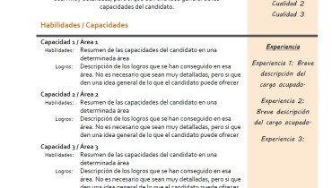 exemple de c.v en espagnol