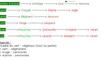 exemple de chaine alimentaire avec 5 maillons