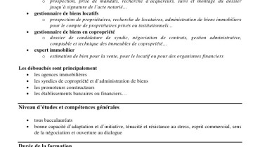 exemple de cpap bts immobilier