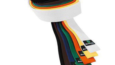 exemple de kihon demande au passage de ceinture