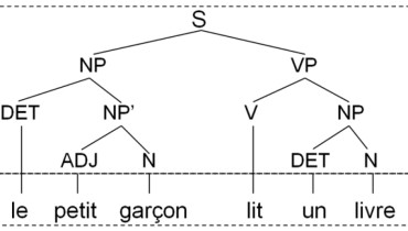 exemple de phrases a analyser