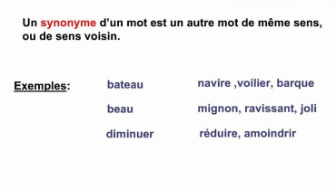 exemple de synonyme cm1