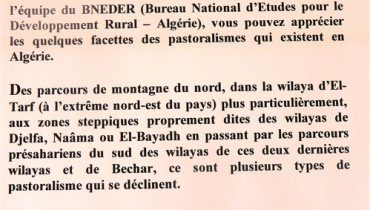 exemple de texte explicatif