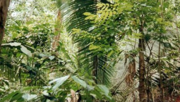 exemple de diversite des ecosystemes