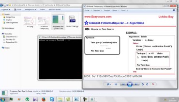 exemple de boucle while en c
