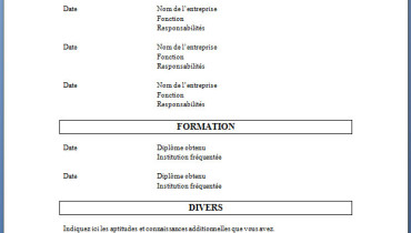 exemple de cv simple
