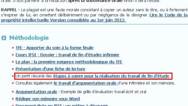 exemple de guide d entretien tfe infirmier