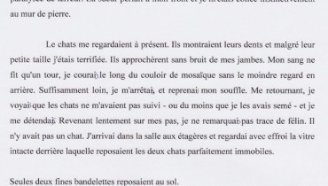 exemple de nouvelle