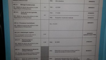 exemple de partiel ifsi