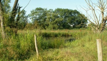 exemple de zone humide