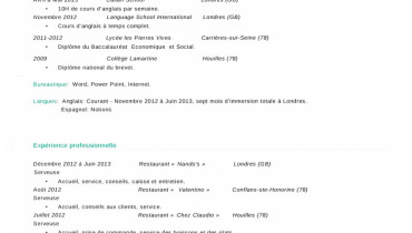 exemple de cv 17 ans