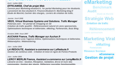 exemple de cv electrotechnique