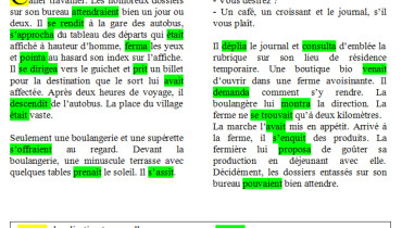 exemple de texte a analyser
