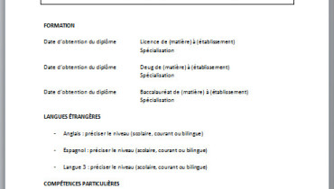 exemple de 1er cv
