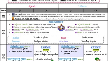 exemple de cahier journal gs cp