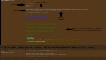 exemple de candidature mmorpg