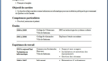 exemple de cv de travail