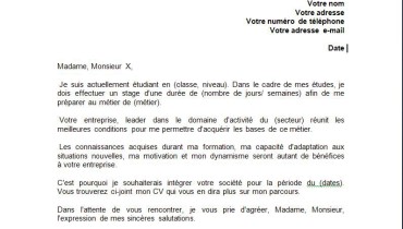 exemple de cv pour demande de stage
