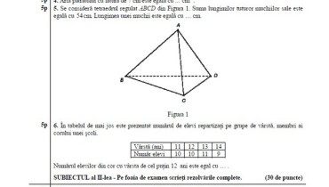 exemple de examene clasa a 8-a romana