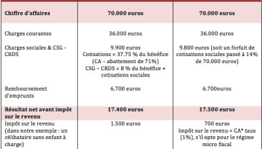 exemple de micro entreprise