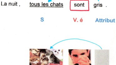 exemple de phrase avec s en