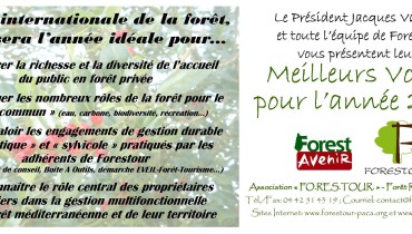 exemple de voeux en anglais