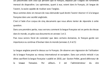 exemple de synthese de documents